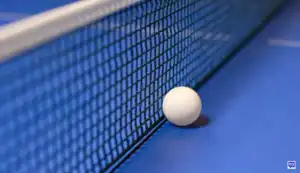 Les frÃ¨res Lebrun prÃªts pour les Mondiaux de tennis de table