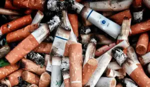 Le MÃ©gothon mobilise Montpellier contre les mÃ©gots du 21 au 27 mai