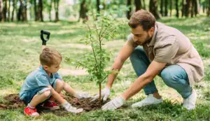 Strasbourg : AvancÃ©e du Plan CanopÃ©e avec 5 589 arbres plantÃ©s