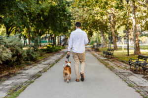 Toulouse : des propriétaires de chiens préoccupés par l’accès restreint aux parcs publics