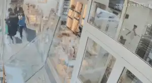 Loire : un sanglier affolÃ© dÃ©fonce la vitrine dâ€™une boulangerie