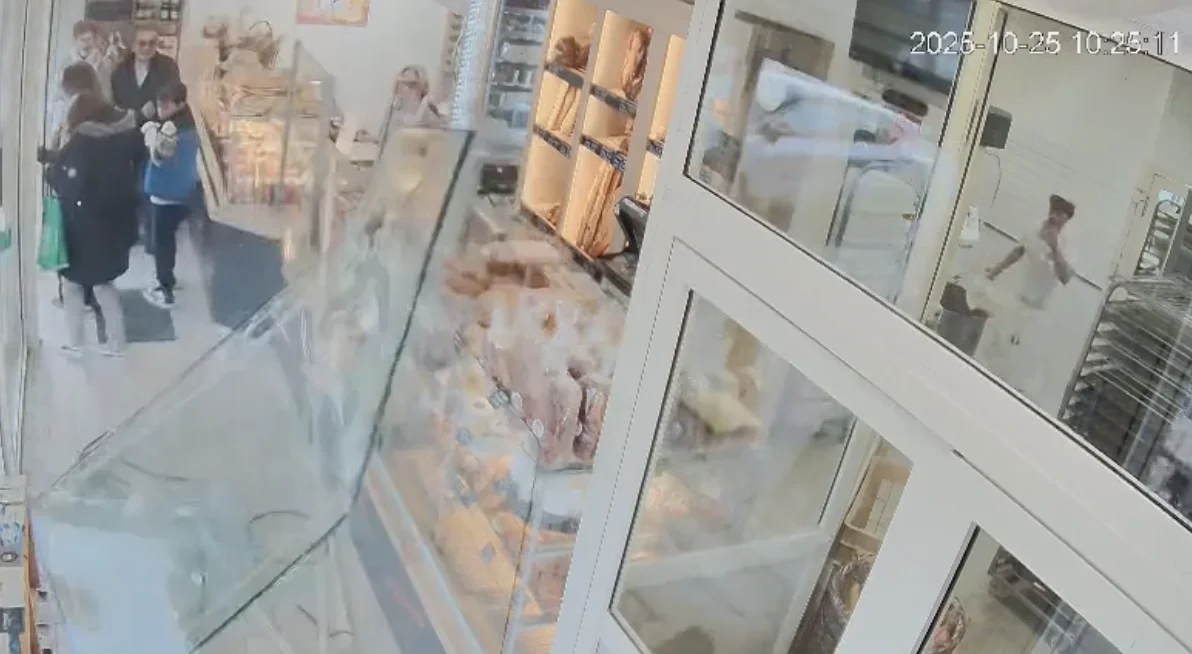 Loire : un sanglier affolé défonce la vitrine d’une boulangerie Loire : un sanglier affolé défonce la vitrine d’une boulangerie