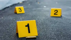 Nice : une femme tu&Atilde;&copy;e par balles au volant de son v&Atilde;&copy;hicule avec un enfant dedans