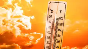 Canicule : un Ã©pisode exceptionnel se profile sur la France