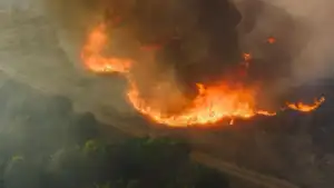 Feu de forÃªt en Andalousie : 11 morts, des victimes ont Ã©tÃ© retrouvÃ©es dans des vÃ©hicules calcinÃ©s