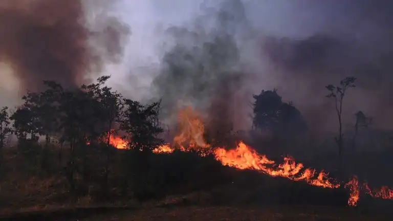 Loire : des restrictions face au risque de feux de forÃªt
