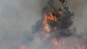 Savoie : dÃ©cÃ¨s tragique dâ€™un pompier volontaire de 22 ans lors dâ€™un feu de forÃªt